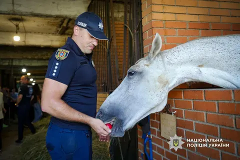 В Одесі поранених військових і поліцейських залучили до іпотерапії