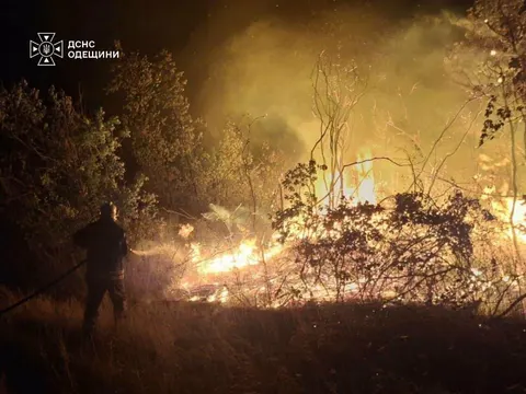 У Саф'янах через суху траву постраждали жінка та двоє дітей