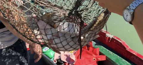На Дунаї рибалка спіймав червонокнижну стерлядь: доведеться заплатити 48 тисяч