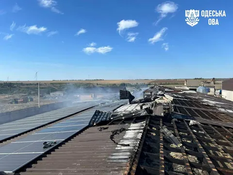 Росіяни вдарили по птахофермі на Одещині: частина птиці загинула
