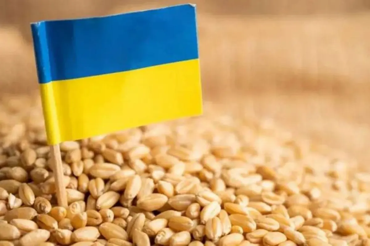 Мінагрополітики: Україна швидко поверне ринки зерна після відновлення експорту з Одеси