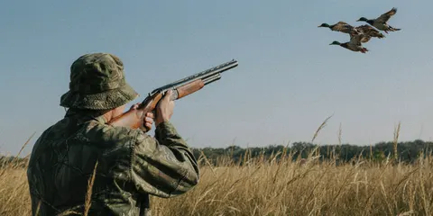 На Одещині викрили мисливця, який незаконно добув 31 перепілку