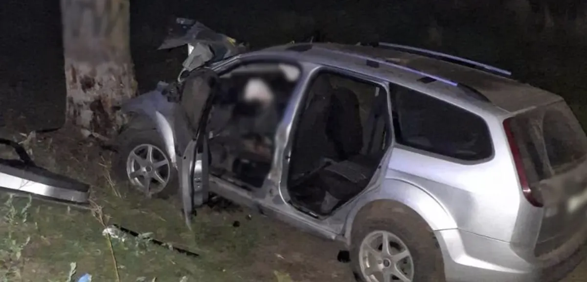 На Одещині в ДТП загинули троє чоловіків: авто злетіло з дороги та врізалося в дерево