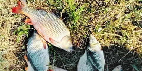 На Хаджибейському лимані викрили рибалку із забороненою сіткою: збитки на 30 тис