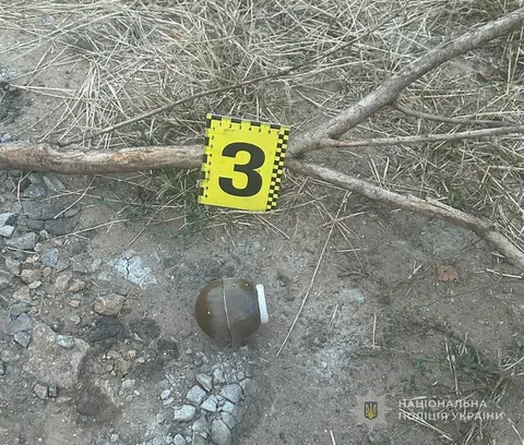 У Теплодарі п'яна військова кинула гранати на подвір'я сусідів: одна вибухнула